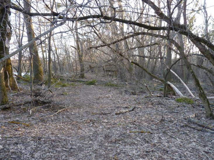 Чмирівка з panoramio.com - Чмыревка