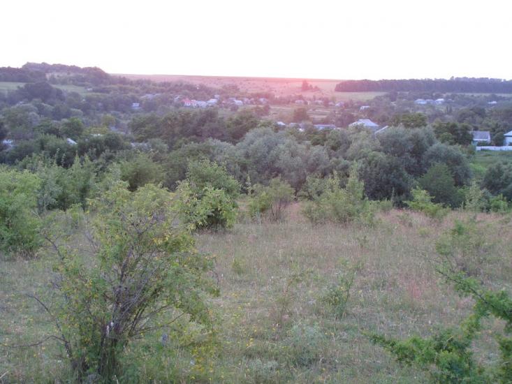 Лозова з panoramio.com - Лозова