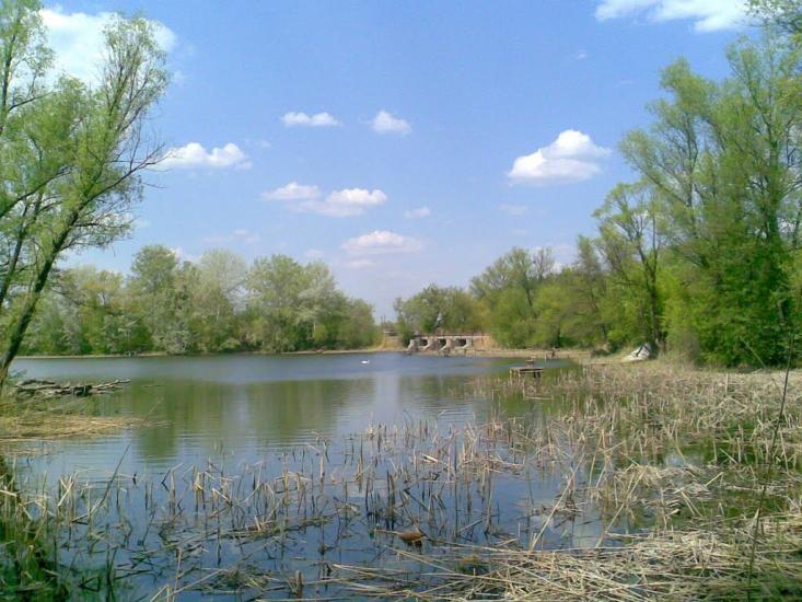 Бірки з panoramio.com - Бирки