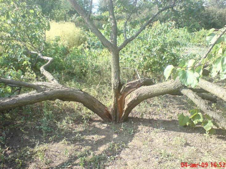 Новоочаків з panoramio.com - Новоочаків