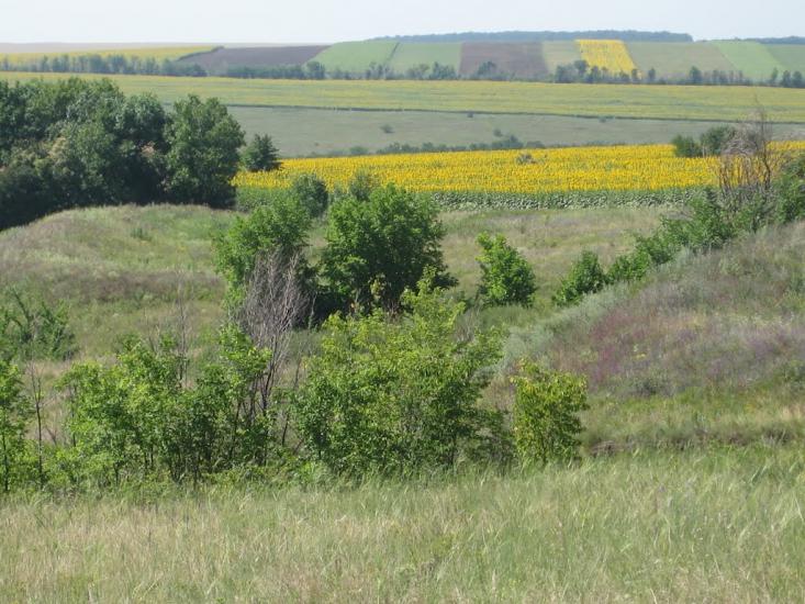 Малохатка з panoramio.com - Малохатка