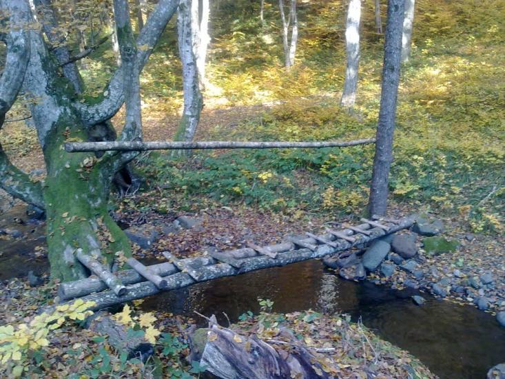 Ворочово з panoramio.com - Ворочево