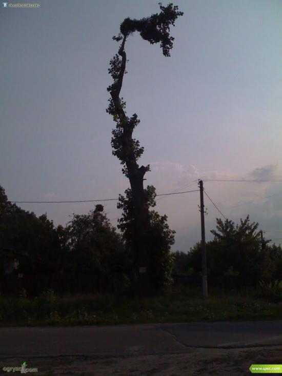 Зазим'я з panoramio.com - Зазимье