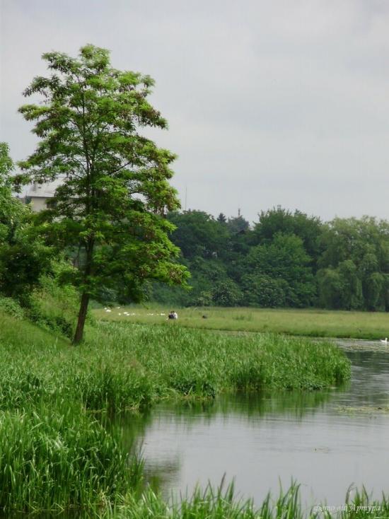 Федорівка з panoramio.com - Федоровка