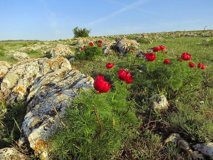 Дружне з panoramio.com - Дружне