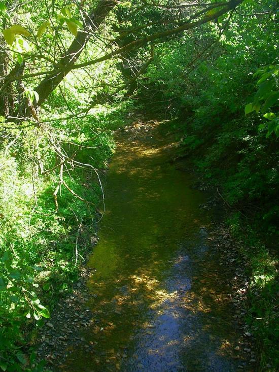 Аромат з panoramio.com - Аромат