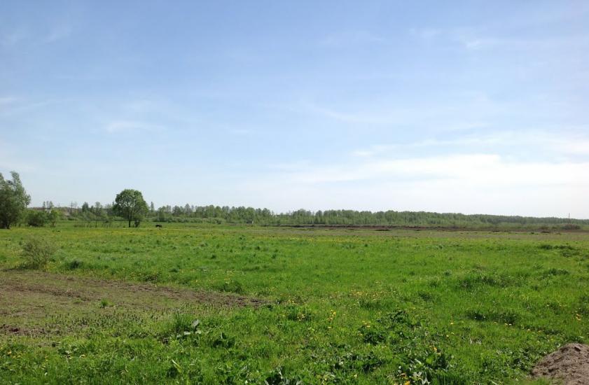 Рожище з panoramio.com - Рожище