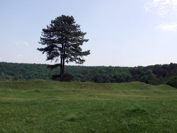 Сидорів з panoramio.com - Сидоров