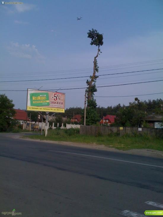 Зазим'я з panoramio.com - Зазимье