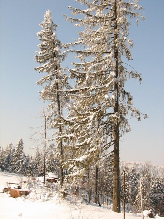 Сухий Потік з panoramio.com - Сухой Поток