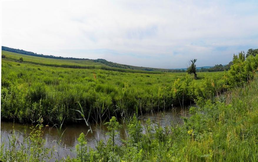 Верхня Кринка з panoramio.com - Верхня Кринка
