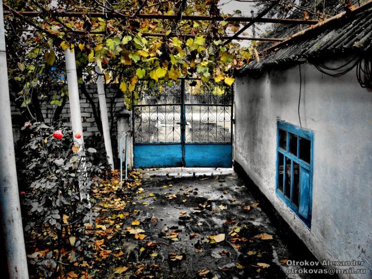 Полюшко з panoramio.com - Полюшко