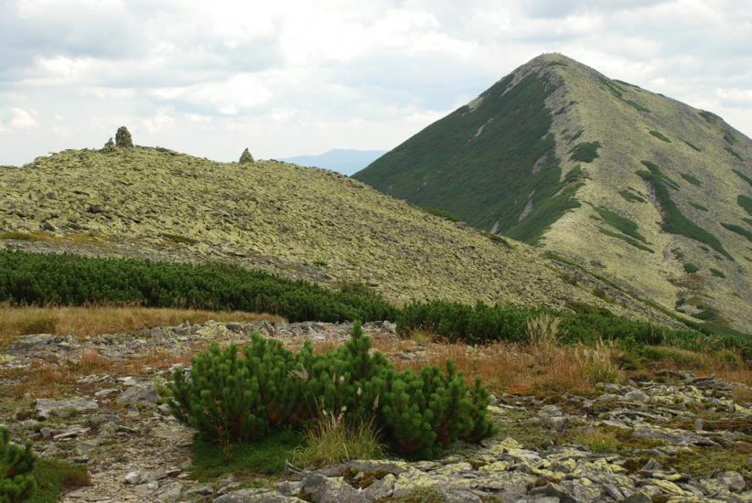 Черник з panoramio.com - Черник