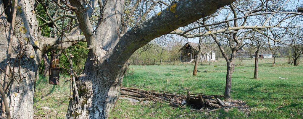 Рихальське з panoramio.com - Рыхальское