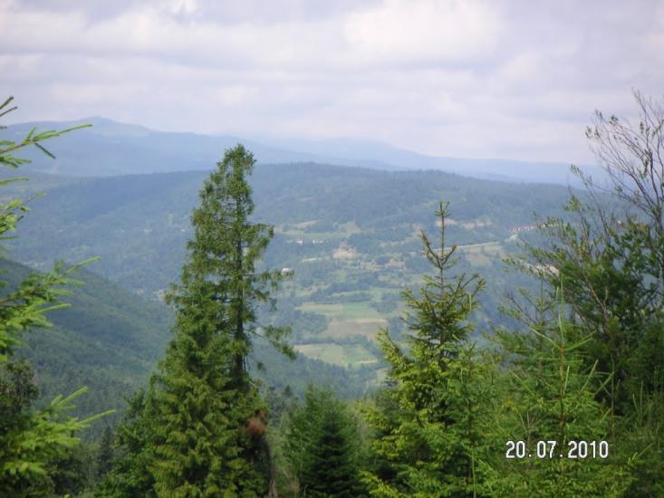 Карпатське з panoramio.com - Карпатське