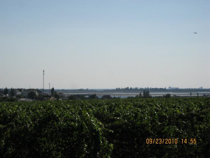 Коблеве з panoramio.com - Коблево