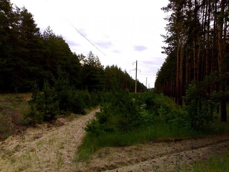 Старобільськ з panoramio.com - Старобільськ