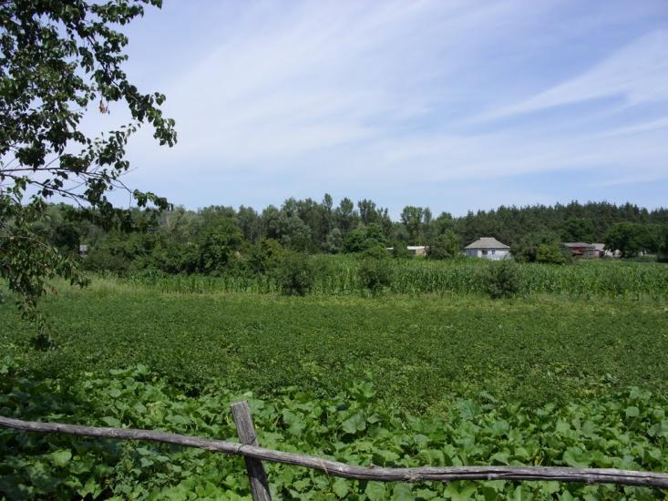 Хорішки з panoramio.com - Хорішки