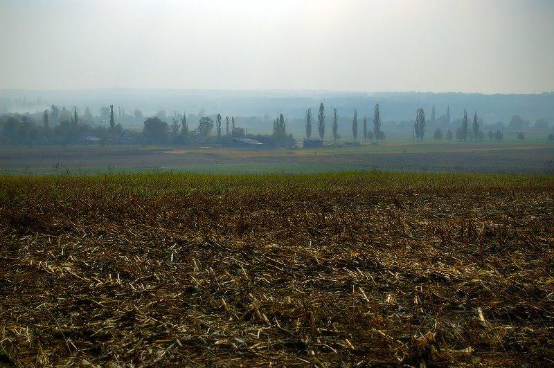 Новий Стародуб з panoramio.com - Новый Стародуб