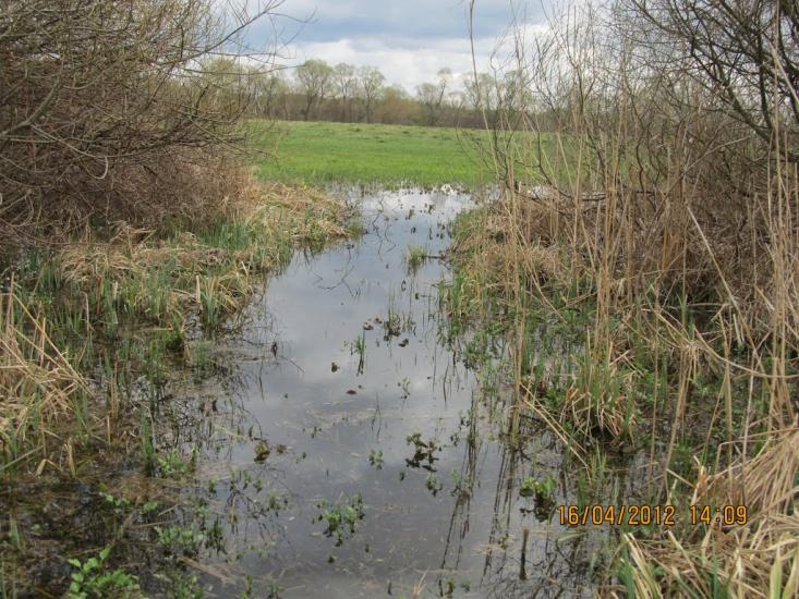 Гущинці з panoramio.com - Гущинці