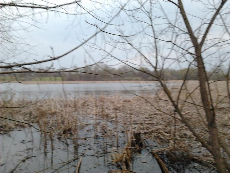Рогачі з panoramio.com - Рогачи