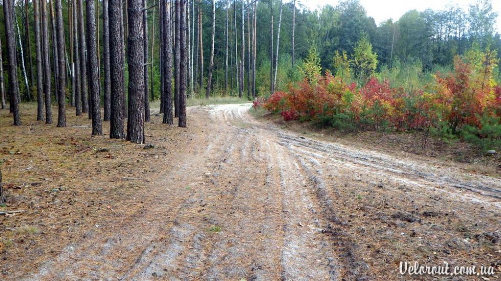 Усове з panoramio.com - Усове