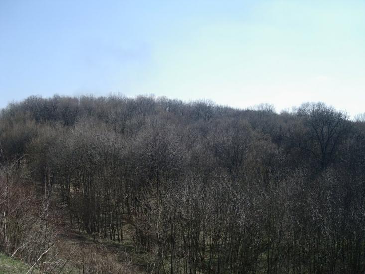 Подільське з panoramio.com - Подільське