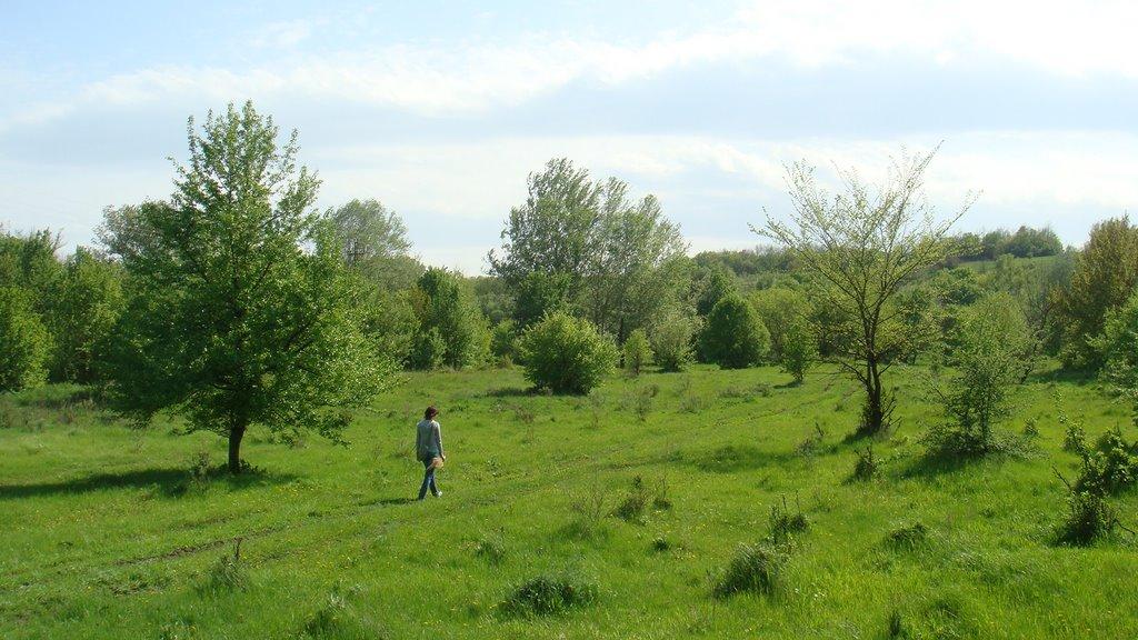 Тошківка з panoramio.com - Тошківка