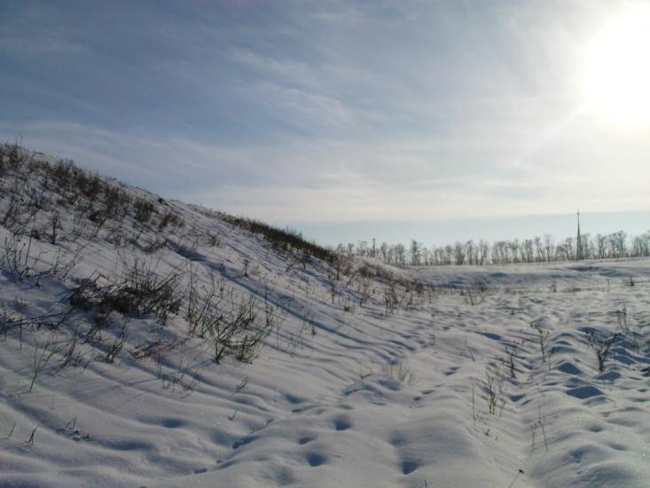 Данилівка з panoramio.com - Даниловка