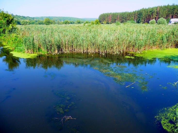 Хорошеве з panoramio.com - Хорошево