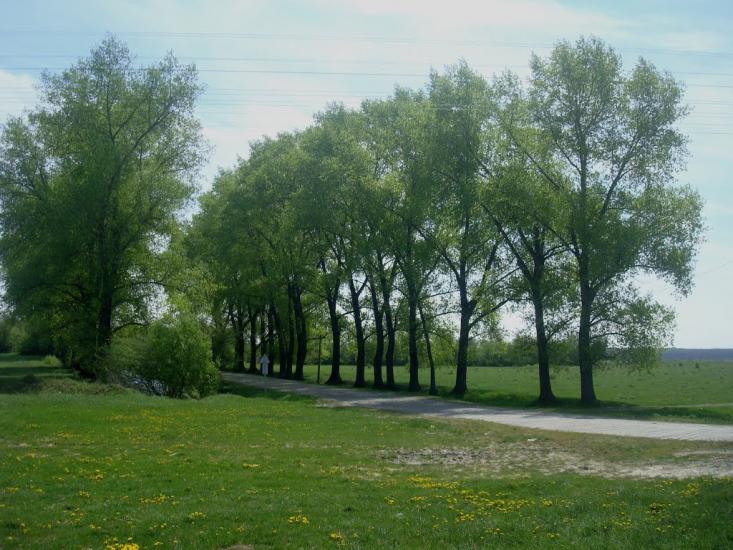 Старі Бейзими з panoramio.com - Старі Бейзими