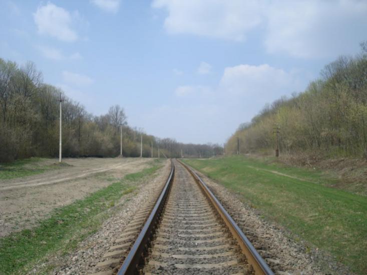 Лісова Волиця з panoramio.com - Лесовая Волица