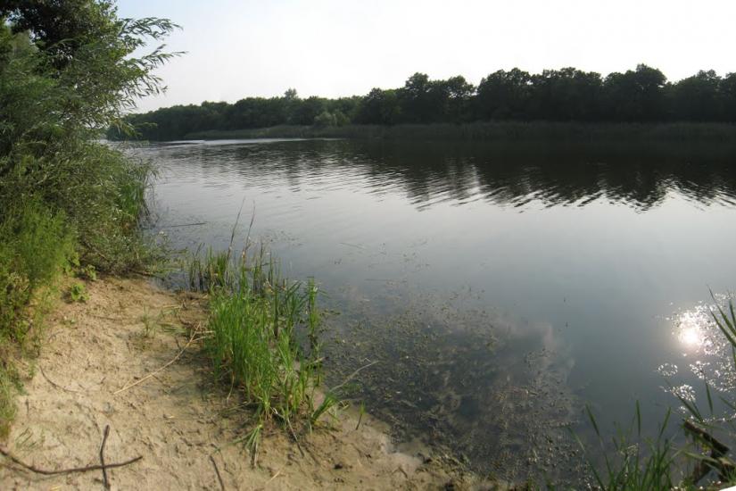 Нижнє з panoramio.com - Nyzhnye