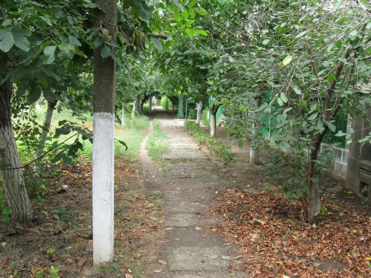 Випасне з panoramio.com - Випасне