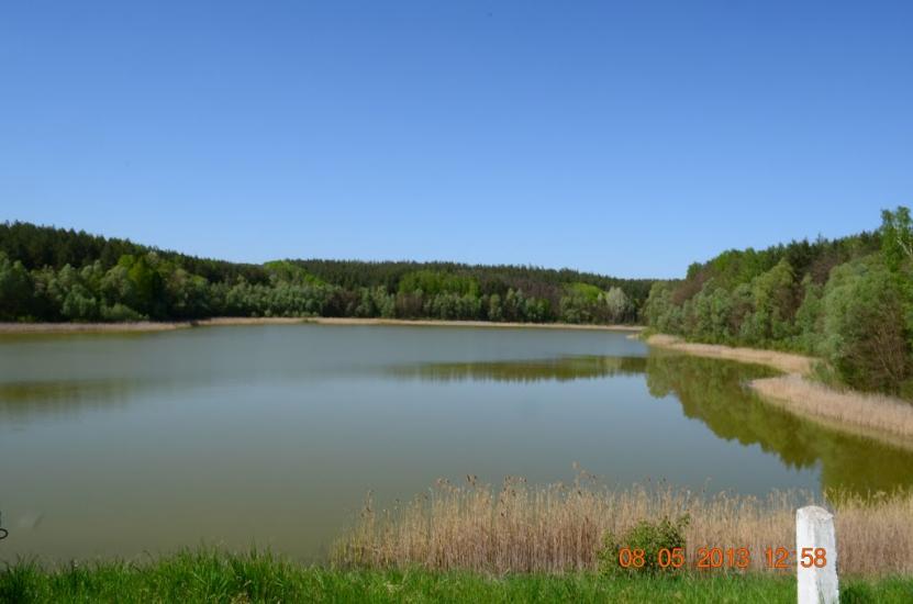 Нова Слобода з panoramio.com - Новая Слобода