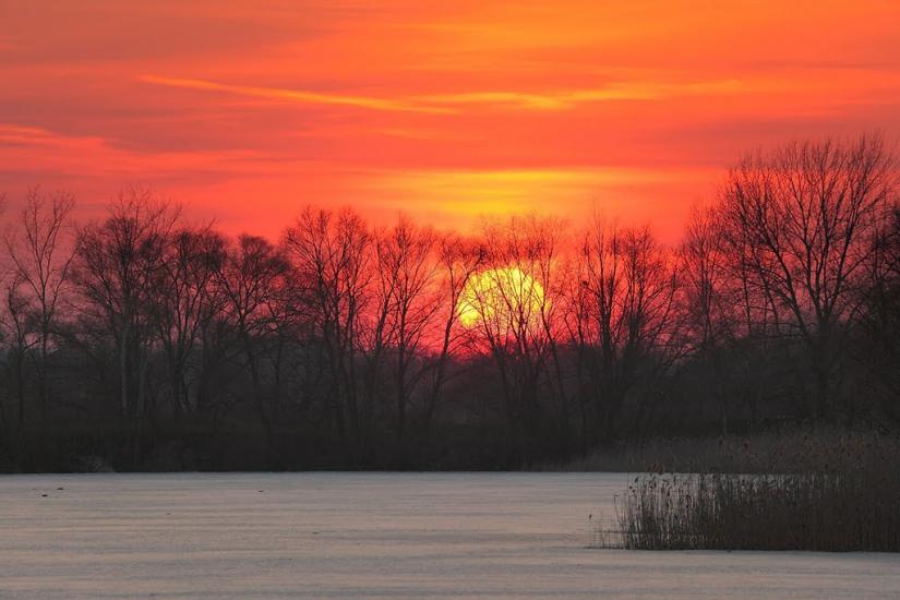 Черемушне з panoramio.com - Cheremushne