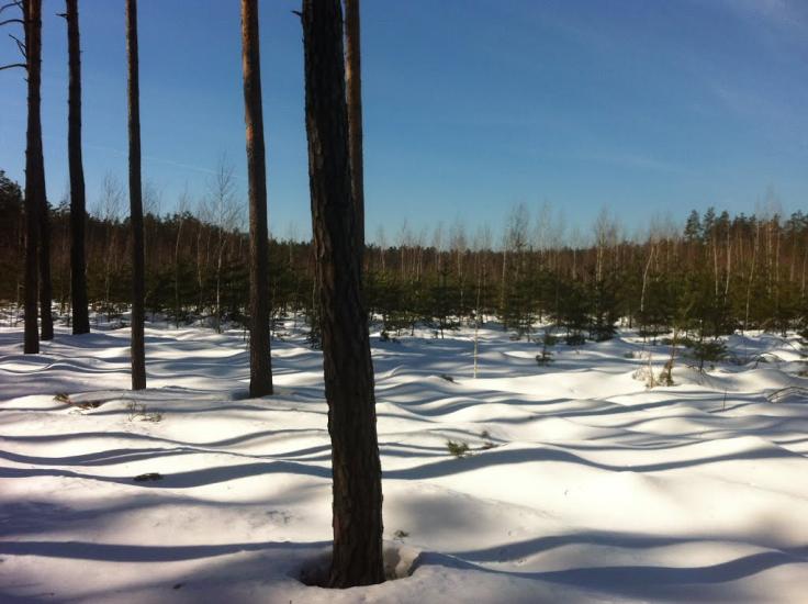 Макалевичі з panoramio.com - Макалевичи