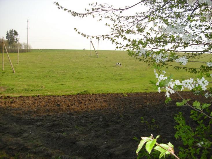 Нове Село з panoramio.com - Нове Село