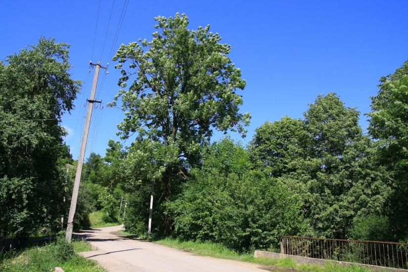 Скотарське з panoramio.com - Скотарское