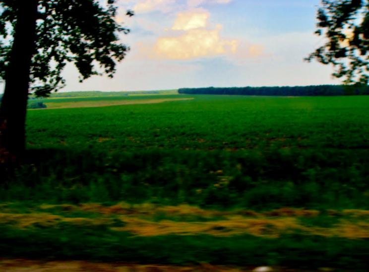 Медвин з panoramio.com - Медвин