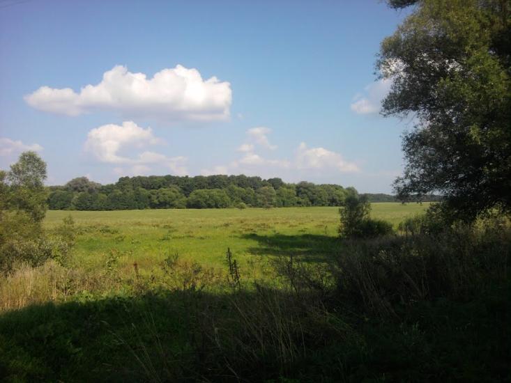 Малинівка з panoramio.com - Малиновка