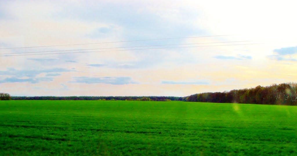 Чеснівка з panoramio.com - Чеснівка