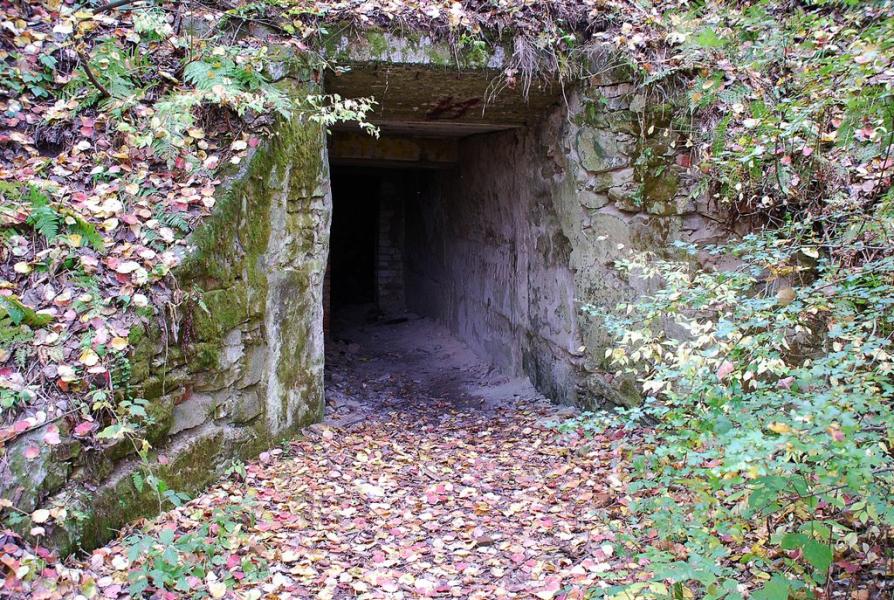 Тетерівка з panoramio.com - Тетерівка