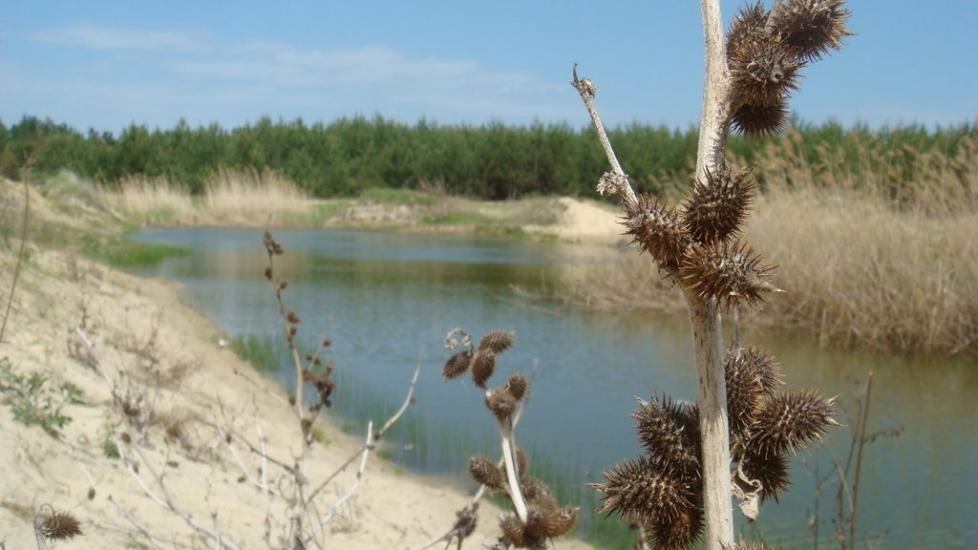 Борівське з panoramio.com - Борівське