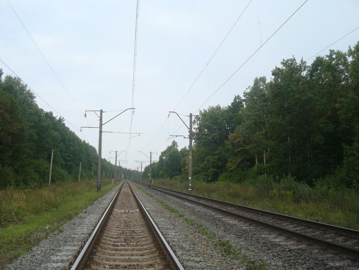 Цвітоха з panoramio.com - Цветоха