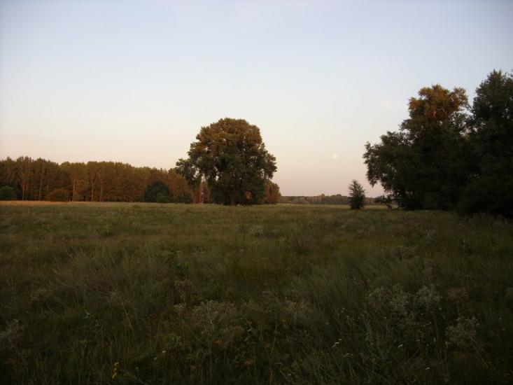 Говтва з panoramio.com - Govtva