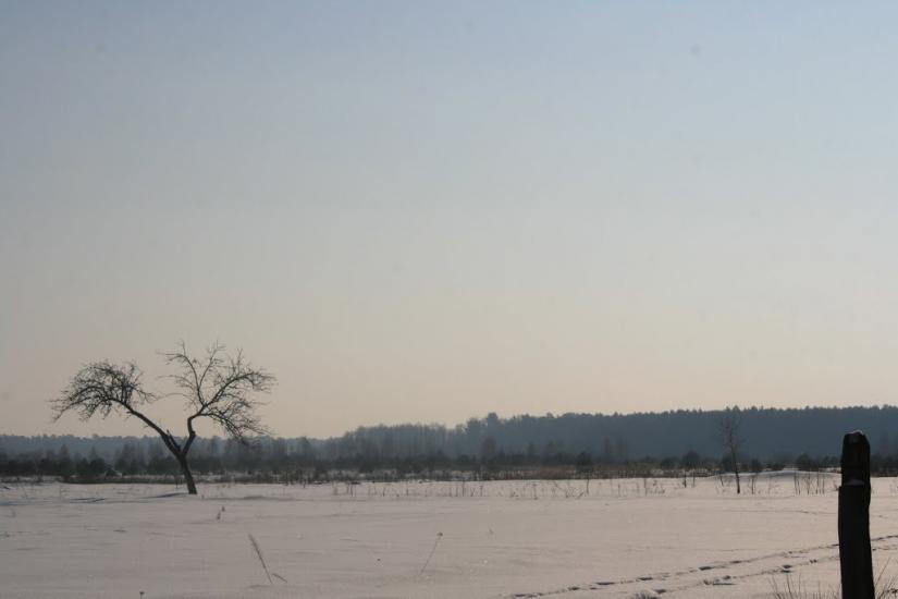 Бодячів з panoramio.com - Бодячев