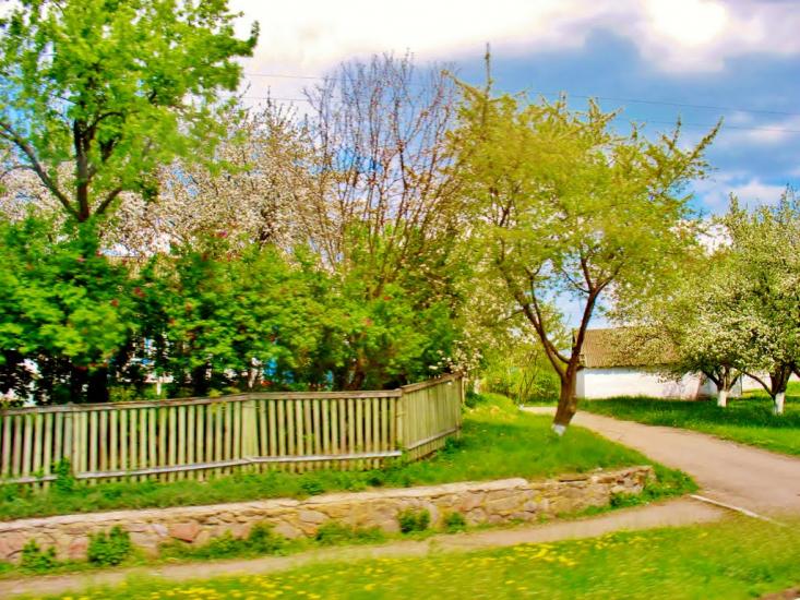 Бране Поле з panoramio.com - Браное Поле