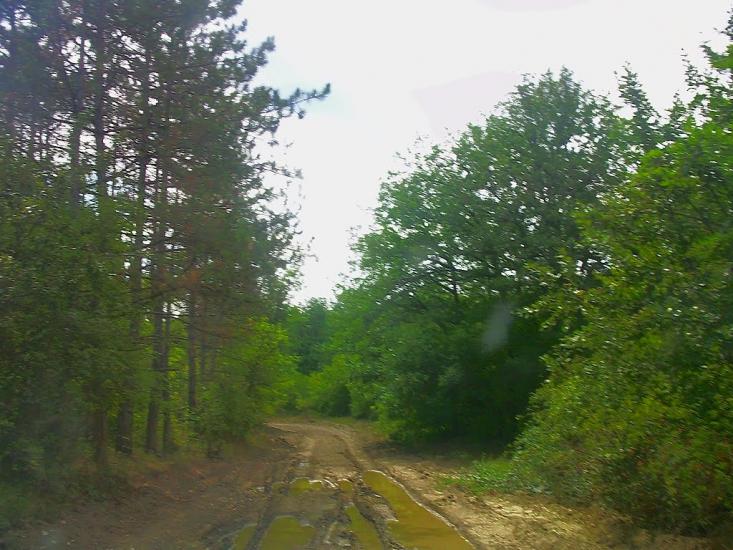 Щасливе з panoramio.com - Schaslyve