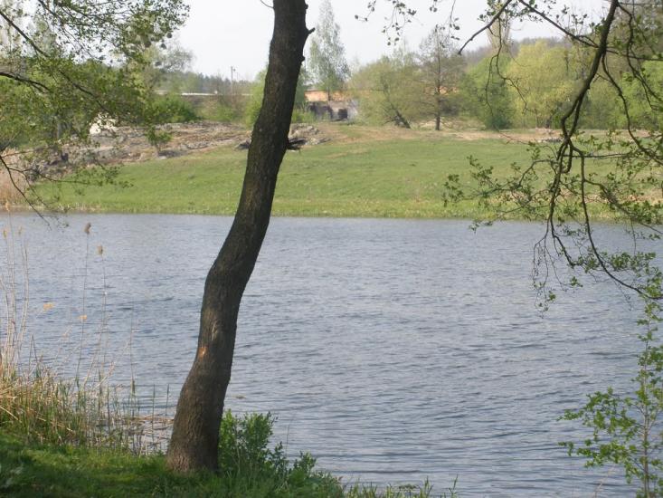 Богуслав з panoramio.com - Богуслав